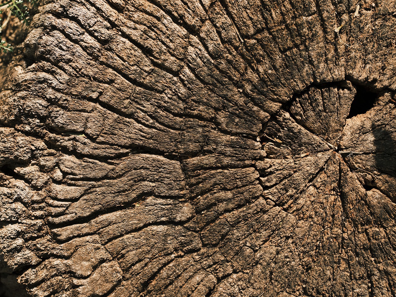Trucs et astuces si vous avez des meubles en bois