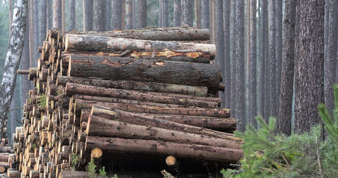 L_art_de_la_Menuiserie_:_des_idées_pour_recycler_les_déchets_de_bois_dans_votre_maison